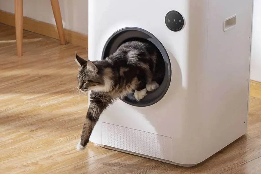automated litter boxes